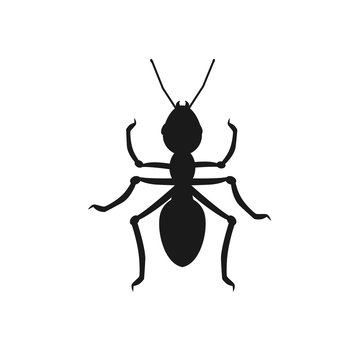 Ant Icon Vector
