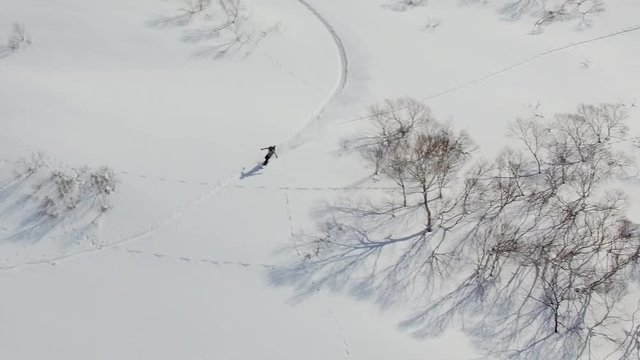Snowboarder Powder Skiing Down Mountain Fresh Tracks