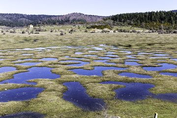 Naklejka premium Little puddles landscape on Karagol plateau near Tarakli, Sakarya