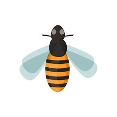 Honey bee vector illustration.