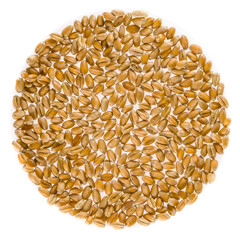Weizen, Körner, Kreis