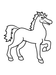 Fototapeta na wymiar cool riding horse stallion equestrian comic cartoon