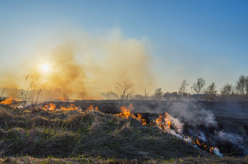 A natural disaster. Fire in nature