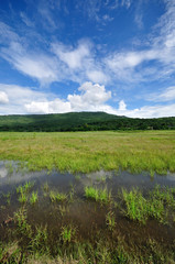 Khao Yai Mountain, Thailand