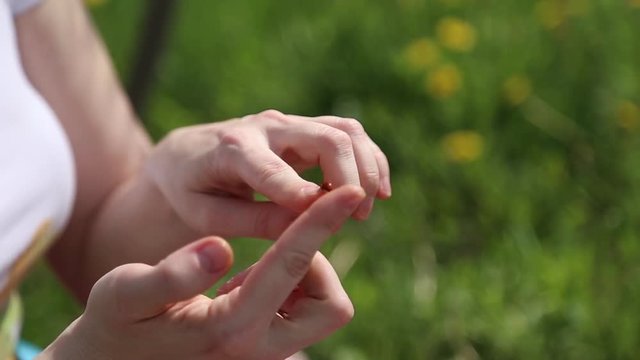 Ladybug crawling on hands, girl inserts her fingers so ladybug can't crawl away
