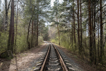 Fototapeta premium old rail road in green forest summer