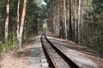 old rail road in green forest summer