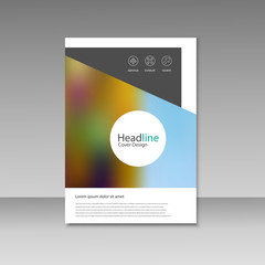 Vector Brochure Design Layout template 