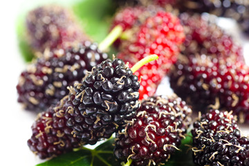 Close up fresh organic mulberries, shallow depth of field