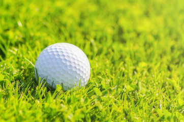 Golf Ball on course