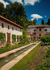 Fototapeta na wymiar Garden of the Alhambra, Spain