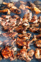 Cooking meat on the fire.