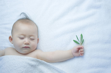 オリーブの葉を手に持って昼寝をする日本人の赤ちゃん