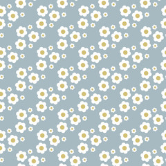 seamless daisy pattern and background vector illustration