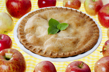 pie served with apples on the side.