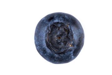 Blueberries on white background