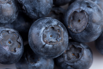 Blueberries on white background