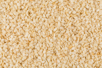 Closeup of lots of sesame seeds