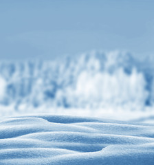 Fototapeta na wymiar Winter forest. Winter landscape. Snow covered trees