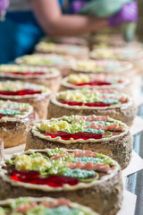 Row of cakes on conveyor. Cakes and worker on background. Non-stop work at plant. Fast pace of production.