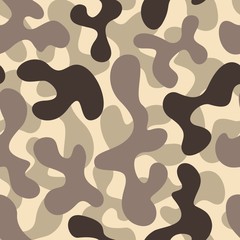Dessert Camouflage Pattern