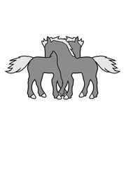 2 horses couple couple love love mare stallion cuddle cuddling nice ride