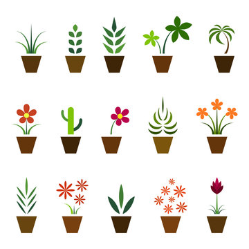 Set of indoor plants in pots, colorful isolated on white background, vector illustration.
