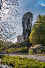 Rock called Hercules Club in Ojcow National Park