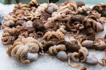 Raw fresh baby octopus on ice. Seafood restaurant display. Shallow DOF