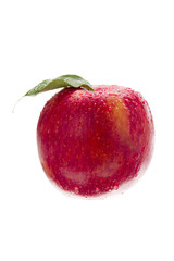 close-up shot of red apple with water drops on it.