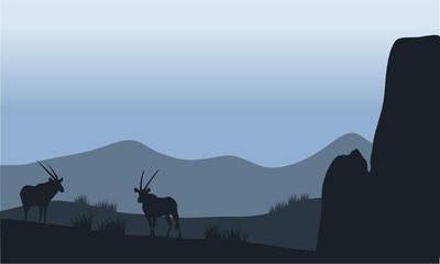 Antelope in hills silhouette