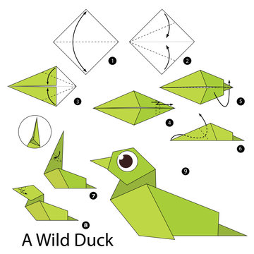 Step by step instructions how to make origami A Wild Duck.