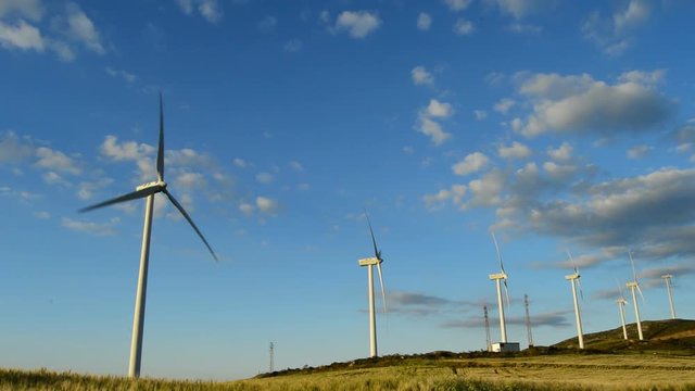 Wind turbines rotating in a field at sunset