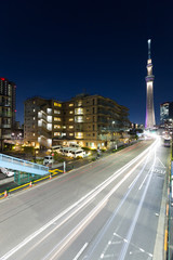 Fototapeta premium Tokyo skyline at night