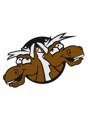 2 friends team party celebrate couple crazy funny fun face head hole comic cartoon laugh silly pony stallion