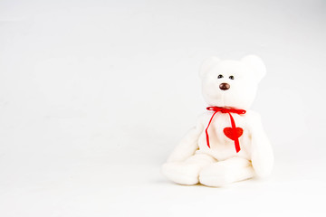 teddy bear on white background