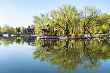 Fototapeta na wymiar Chinese park in spring