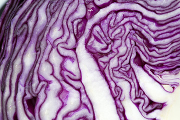 Obraz premium Red Cabbage