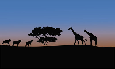 Fototapeta na wymiar Silhouette of giraffe and puma