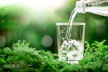a glass of cool fresh water on natural green background
