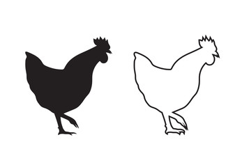 Vector image of an chicken on a white background.