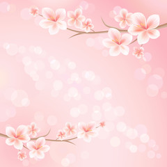 Flowers background. Flowers design. Vector abstract illustration. Sakura blossoms. Branch of sakura with flowers. Cherry blossom branch on pink. Vector 