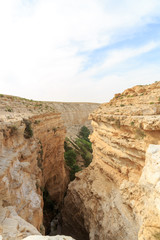 Fototapeta premium Top view on canyon Ein Avdat