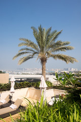 Fototapeta na wymiar Roof of a luxury hotel where you can sunbathe