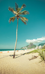 Single palm on Ipanema Beach in Rio De Janeiro, Brazil. Vintage colors
