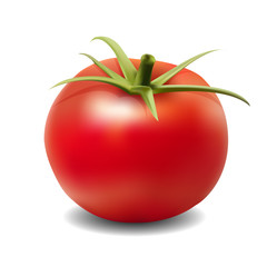 Big ripe red fresh tomato