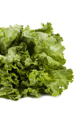 green lettuce