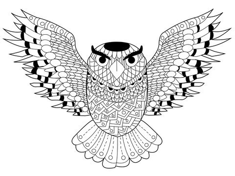 Owl coloring vector for adults