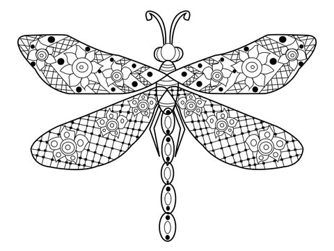 Dragonfly coloring vector for adults