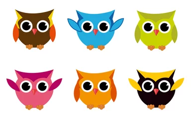 Fotobehang Cute Vector Collection of Bright Owls © nezezon